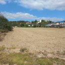 영천남부공인중개사사무소 이미지