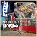 장수활어 | 충주횟집 활어장수 야장 웨이팅 있는 모둠회 맛집