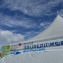 채채밀 이미지