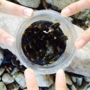 알프스산장민박 이미지