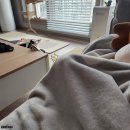 요를레이후치킨 | Weekly: 대구&amp;포항 여행 호미곶, 서문 야시장, 바닐라 크럼브