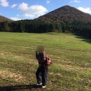 중문하은이네뽈살김밥 | 제주 3