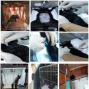 페트로 동물병원 이미지