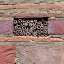 Bee HOTEL 이미지