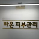 도도안속눈썹 네이버블로그