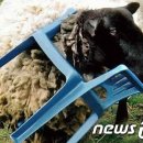 소근소근 이미지