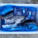 참조은참치 - 오산시 성호대로 122 | 참조은참치