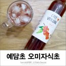 예담초 이미지
