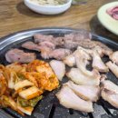 수로뒷고기
