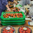 순이네농장 이미지