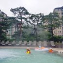 곤지암리조트 이미지