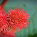 그린패밀리 이미지