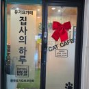 집사의 하루 일산점 | [고양이카페] 개냥이들이 사는 고양이카페, 집사의하루, 유기묘 보호소, 유기묘 카페