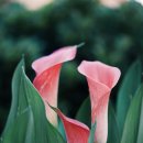 강동오륜방문요양센터 이미지