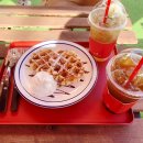 꼬리살랑 이미지