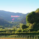 삼흥농장 이미지