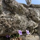 선원농장 이미지