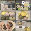 강원찐빵 | 강원 평창 봉메찐빵 또또간집 오색찐빵 솔직후기