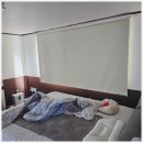 영등포구커튼 커튼 하나로 집 분위기 확 바꿔요! 디자인앤데코 매장 방문기