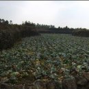 판포초등학교 이미지