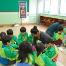 오창초교 병설유치원 이미지