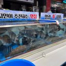 포항회센타 이미지