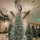 라운지독 | 경기 고양: 소노캄고양 일라고 로비라운지 딸기뷔페 | 윈터베리키친 금요일 저녁 6시 타임 방문 후기