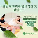 요가(심화주간) | [해운대요가]나이가 들어도 안정적인 걸음을 만드는 치유요가