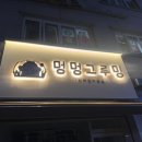 멍멍그루밍 이미지