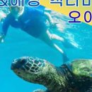 글로벌원투어 - 김해시 김해대로 2078 | 글로벌원투어