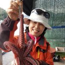 명품초밥 이미지