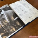 제이진옴므부산 | w6)남자 예복 맞춤vs대여vs기성/ 제이진옴므 마곡 맞춤정장 후기