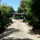 죽림정 | 영암 서호정마을에 위치한 죽림정..