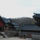 송광사 네이버블로그