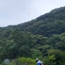 왕대실집 이미지