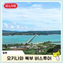 북부카랜드 | 오키나와 북부투어 당일 추천 츄라우미 만좌모 아메리칸빌리지 후기