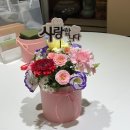 이레가든 | 김포시 무료체험학습 늘바라봄학교 이레가든빌리지 꽃바구니, 로즈마리화분 만들기