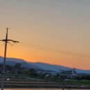 금빛 민박 이미지