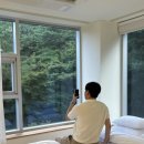 글리제977 이미지