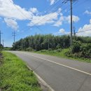 성읍리-2 이미지