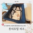 해 호텔 | [리뷰] 5개월 아기 동반 서귀포 중문 롯데호텔 내돈내산 숙박 및 해온 야외수영장 후기