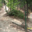 백조약수터 이미지