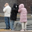 [뉴스1 PICK]"진짜 겨울 시작됐다"…중부지방 내일까지 최대 10㎝ 눈 이미지