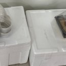 목포장애인자립생활센터 이미지