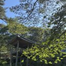 부석사 주차장 | [서산] 부석사 임신 명당 / 주차, 삼신각 절하는법, 소원돌 후기