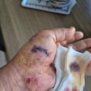 한림정형외과의원 이미지