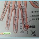 오장육부 이미지