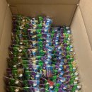 수창태권도예절관 이미지