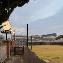 강아지 세상 | 개으른세상 애견카페 강아지 잔디운동장 주차 내돈내산 후기