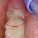 클린연세치주과치과의원 이미지